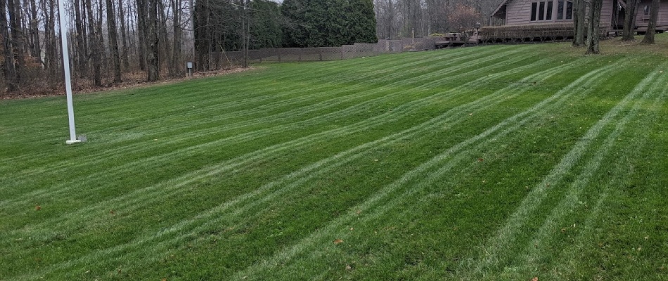 Mowing stripes after services done by Free Spray professionals in Mansfield, OH.