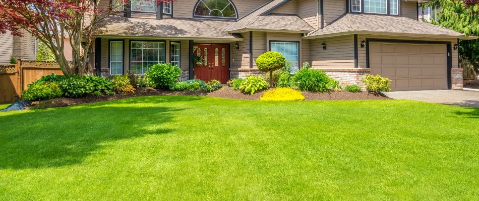 Sun shining on green lawn and plants in Fairview Park, OH.