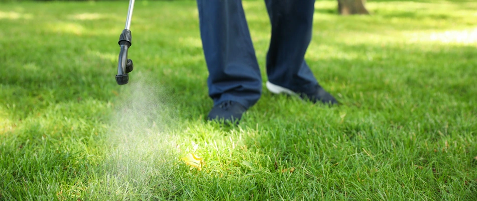 Lawn care specialist applying pre-emergent weed treatment over a lawn in Ashland, OH.