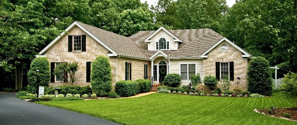 Trees and shrubs in the front yard of a home in Mansfield, OH.