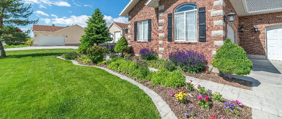 Residential landscape bed with trees and shrubs in Sagamore Hills Township, OH.