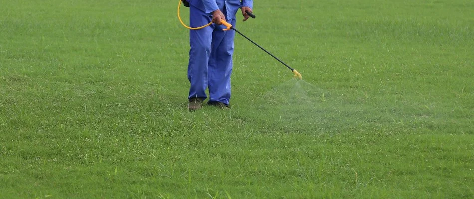 Person spraying weed control on a lawn in Mansfield, OH.