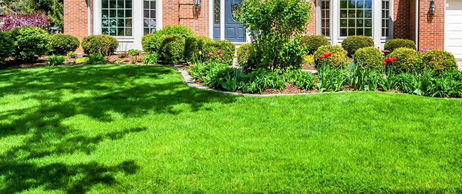 Yard in Brooklyn, OH, with grass and shrubs.